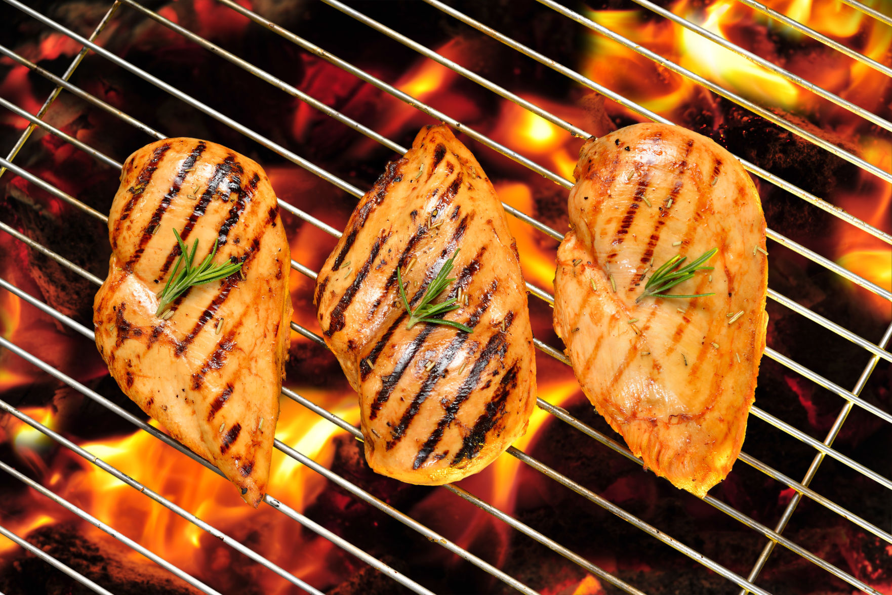 grilled chicken breast